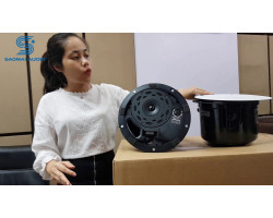 Акустический динамик BOSE DesignMax DM5C мощность 60Вт черный