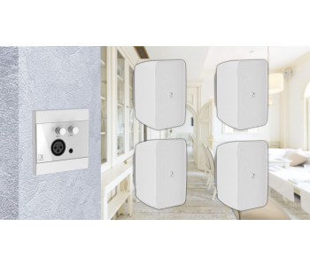 Активная акустическая система 4 динамика с панелью Audac 4WP205w белый