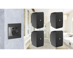 Активная блютуз акустическая система 4 динамика с панелью Audac 4WP225b черный