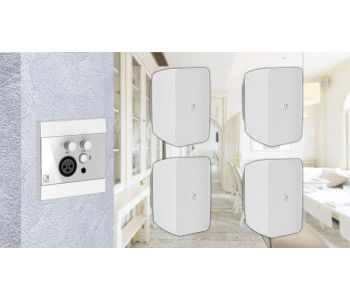 Активная блютуз акустическая система 4 динамика с панелью Audac 4WP225w белый