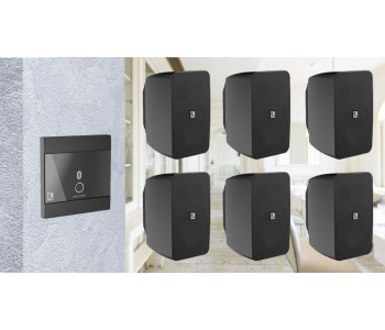 Активная блютуз акустическая система 6 динамиков с панелью Audac 6WP220b черный