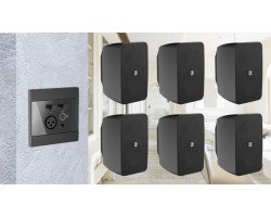 Активная блютуз акустическая система 6 динамиков с панелью Audac 6WP225b черный