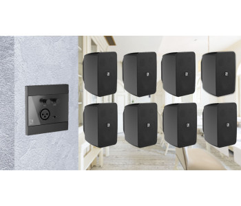 Активная акустическая система 8 динамика с панелью Audac 8WP205b черный