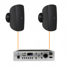 Акустическая система 2 настенных динамика Audac ATEO4M/B